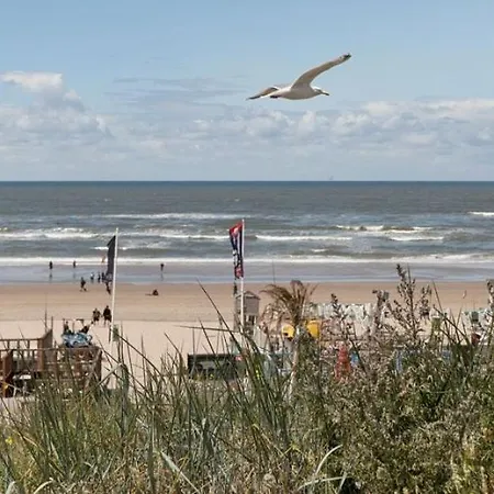Family - Free Parking זנדוורט