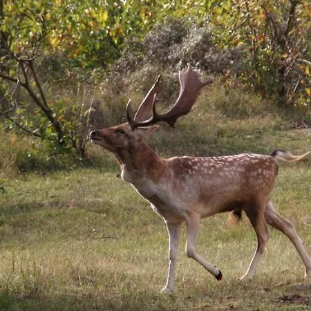 Apartamento Family - Free Parking