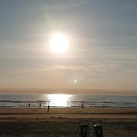 Διαμέρισμα Family - Free Parking Zandvoort